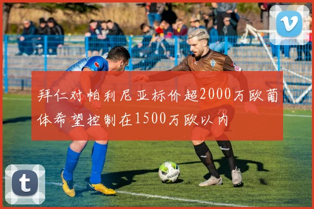 拜仁对帕利尼亚标价超2000万欧葡体希望控制在1500万欧以内